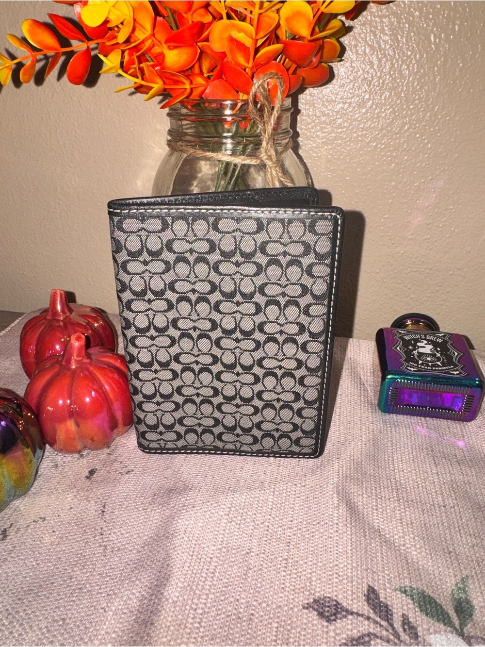 Coach Gray Signature Jacquard Passport Cover